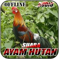 Suara Denak Ayam Hutan Offline