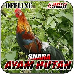 Suara Denak Ayam Hutan Offline 1.0