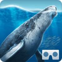 Sea World VR2 on 9Apps