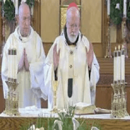 ikon Catholic Daily Mass Readings