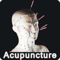 Acupuncture Guide