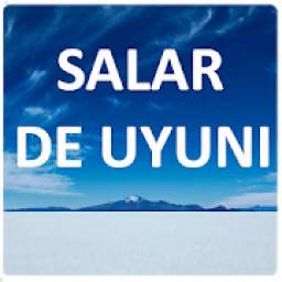 Salar de Uyuni 9.1