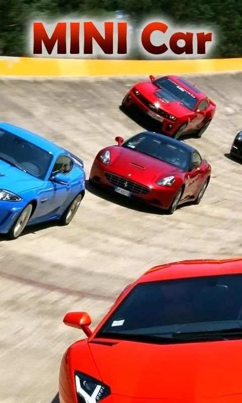 Mini Race screenshot 1
