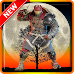 ikon Ninja Turtle : Hero Legends