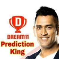 Prediction King - Fantasy Cricket & Football