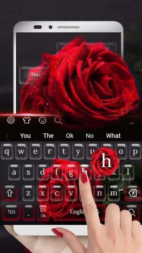 Keyboard Red Rose screenshot 3