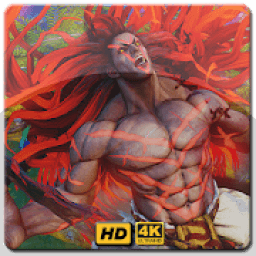 ikon Street Fighter Wallpaper HD