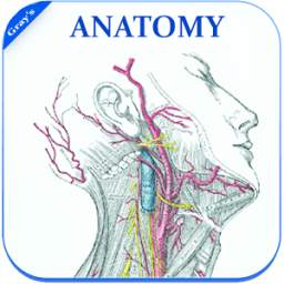 Gray's Anatomy - Atlas || Offline || Free