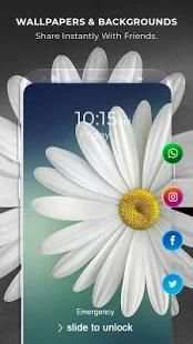 4K Wallpapers, HD Backgrounds स्क्रीनशॉट 3