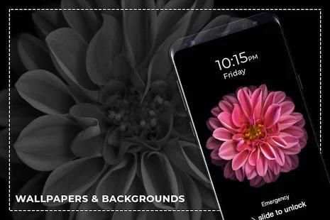 4K Wallpapers, HD Backgrounds स्क्रीनशॉट 2