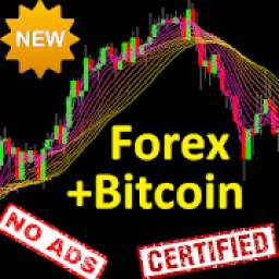 Holy Grail Forex & Bitcoin Trading Simulation Game