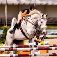 घुड़दौड़ और कूद मास्टर 3 डी स्टंट