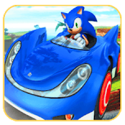 ikon Fast SONIC ADVENTURE