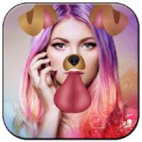 Funny Snappy face effects & Heart Crown on 9Apps