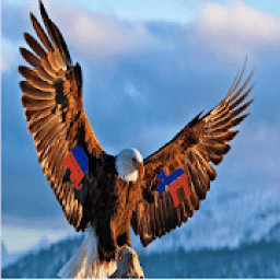 Conservative Connection Messenger आइकन