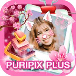 PURIPIX Plus