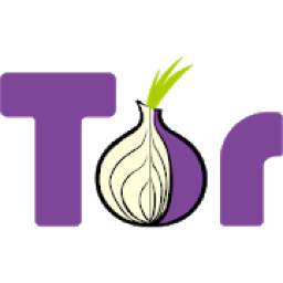 Tor VPN 1.0