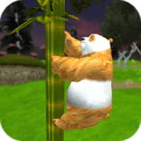 मीठे पांडा मज़ा खेलों