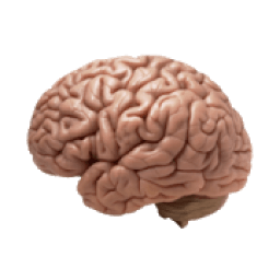 Schizophrenia आइकन