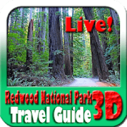 ikon Redwood National Park Travel Guide