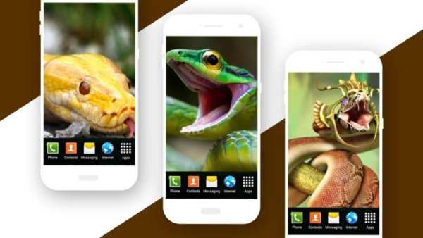 Snake Live Wallpaper स्क्रीनशॉट 1