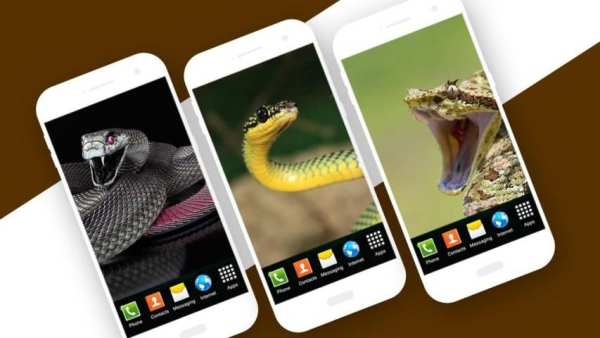 Snake Live Wallpaper स्क्रीनशॉट 2