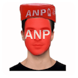ikon ANP Flag On Face