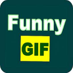Funny Gif For WhatsApp 1.0