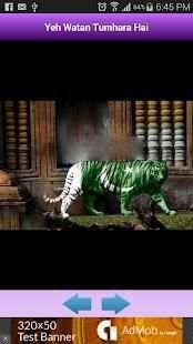 Pakistani National Songs स्क्रीनशॉट 2