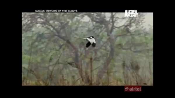 Indian Tv Live HD 1 تصوير الشاشة