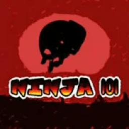 ikon Ninja 101