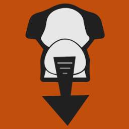 Video Downloader 1.1