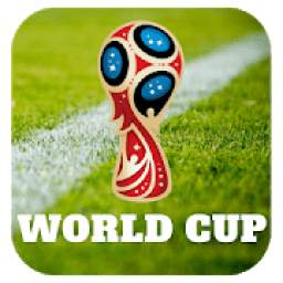 World Cup - Soccer News
