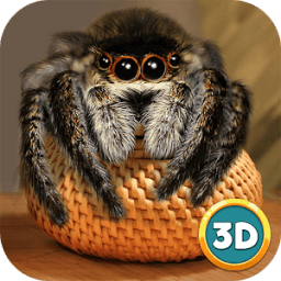 Spider Pet Life Simulator 3D иконка