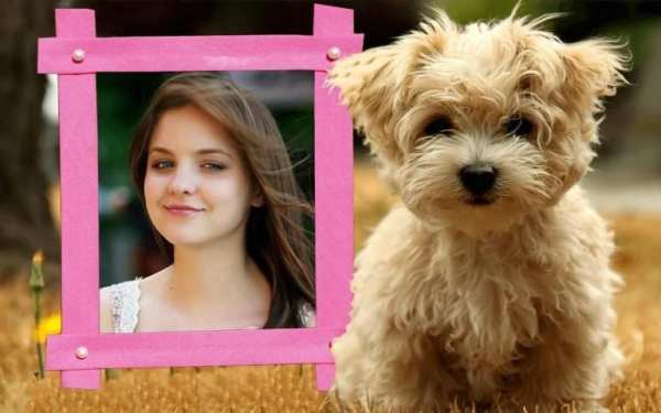 1 min App - Cute Pink Photo Frames screenshot 3