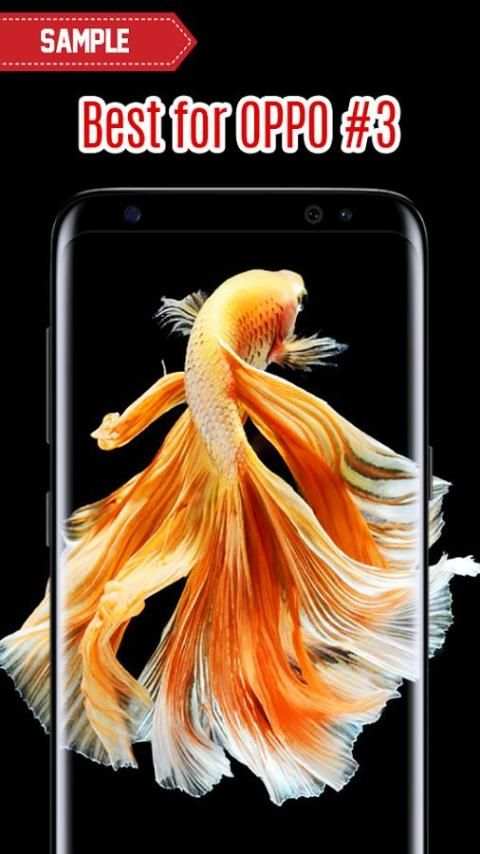 Wallpapers for Oppo screenshot 5