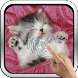 ikon Sleeping Kitty 3D Wallpaper