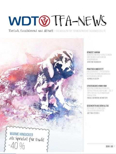 WDT TFA-NEWS screenshot 2