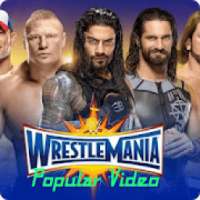 WrestleMania , WWE WrestleMania 2018 : Best Match