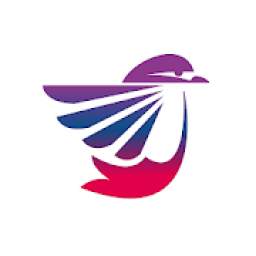 Fun Bird Game 4.0