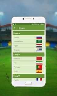 FIFA Live Match screenshot 1