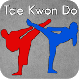 ikon Learn Taekwondo Forms