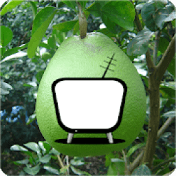 Xem Tivi Không Cần Mạng - Miễn Phí Trực Tiếp Bóng icon