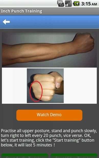 Inch Punch Training screenshot 7