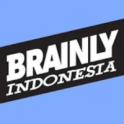 BRAINDO 1.0