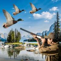 Duck Hunting Adventure
