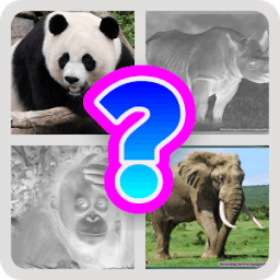 Tebak Gambar Hewan icon