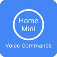 Commands for Google Home Mini