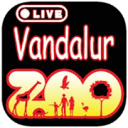 Live Vandaloor Zoo