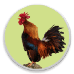 ikon Modern Igbo Calendar